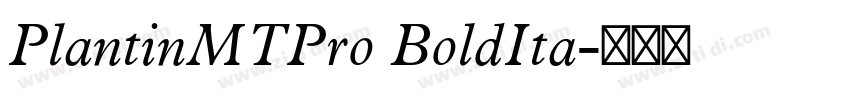 PlantinMTPro BoldIta字体转换 PlantinMTPro BoldIta字体转换